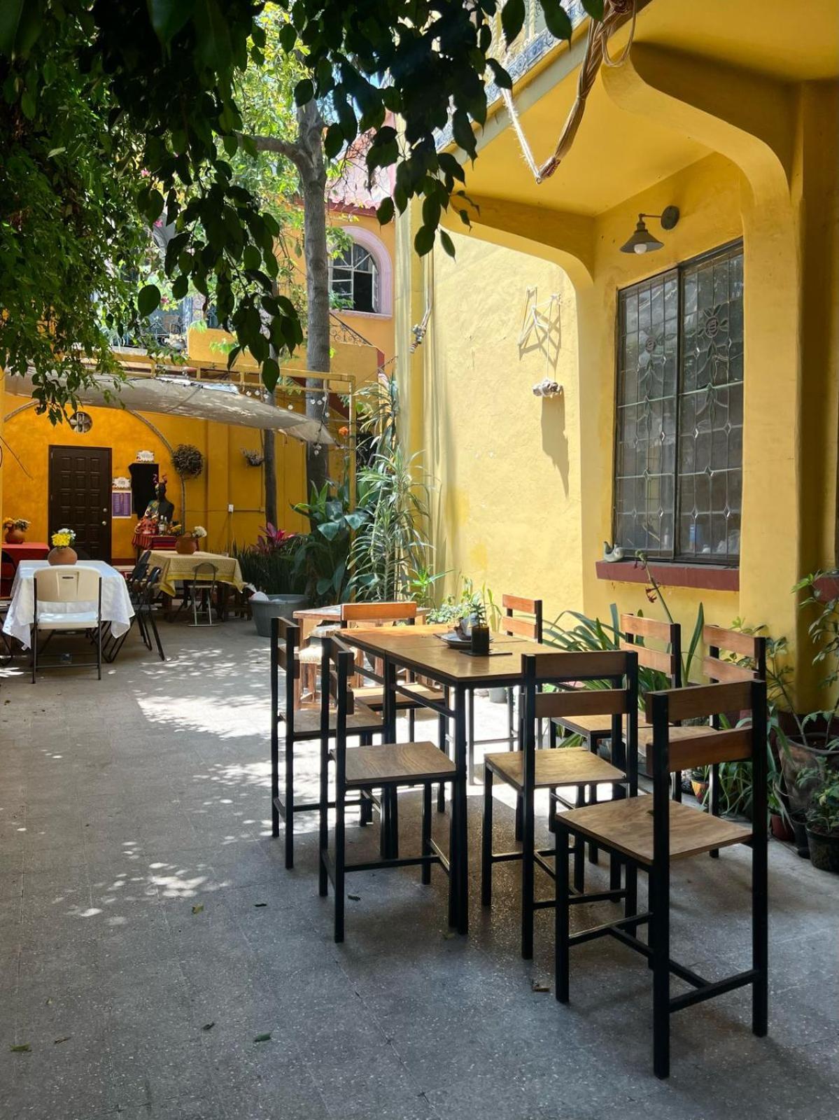 Bed and Breakfast Mar De Lava Мехико Экстерьер фото
